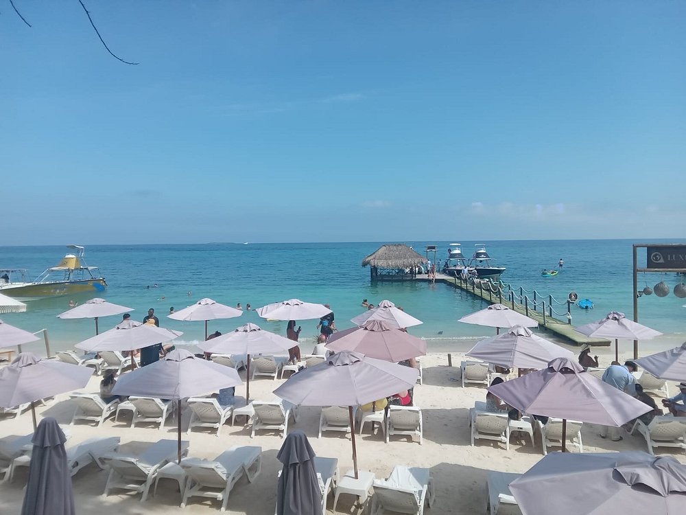 luxury-open-bar - Caribe Express