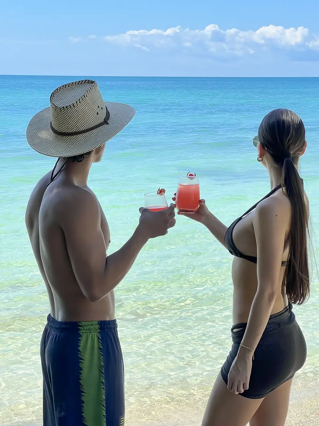Vista 12