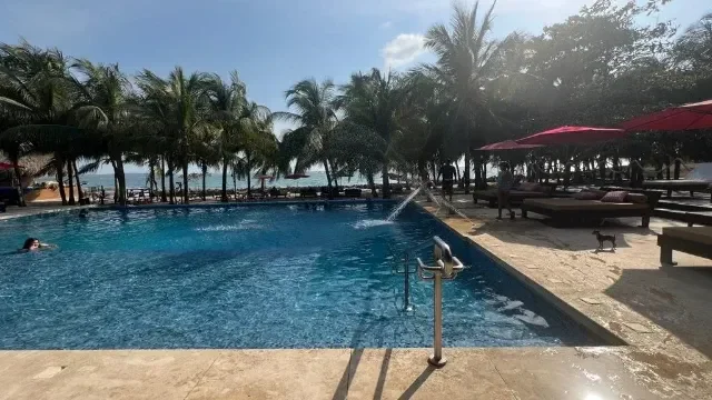 Vista 2